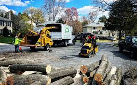 Best Commercial Tree Services  in Sharon, PA